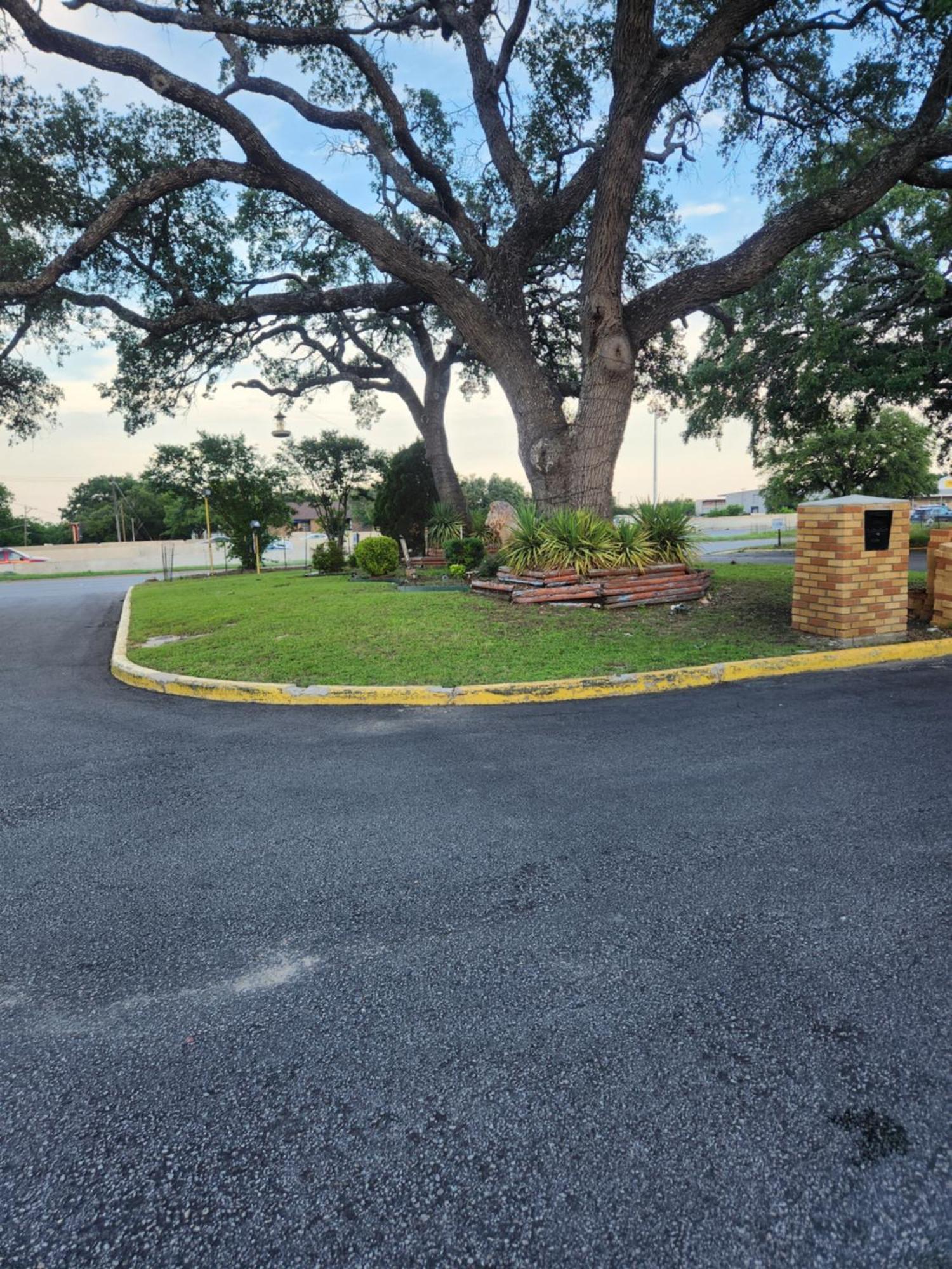 Walnut Forest Motel Austin Luaran gambar